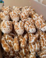 Jellycats - Image 20
